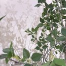 모양카클리닉 | 인생 머리, 드디어 찾았어요! 잠실새내역미용실에서 받은 역대급 변신 후기