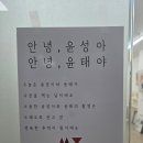(내돈내산)마이미프로젝트 대전점에서 둘째 1000일 기념사진 + 형제사진 촬영 후기