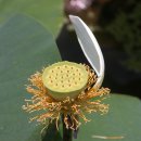 주천중학교 이미지