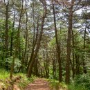 꽃마을로 이미지