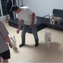 승희상회 이미지