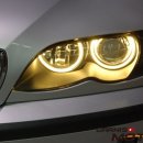 엔젤모터스 이미지