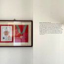 아트정비공장 | 거제 이색 숙소🌊 파노라마 오션뷰 ‘아그네스파크’ 실제 숙박 후기 (Standard room)