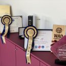 킨더라스 다산점 이미지