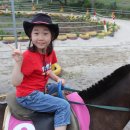 예담이네 이미지