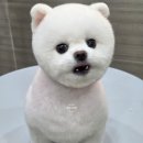 댕댕그루밍 네이버블로그