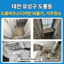 대전야생동물구조관리센터 | 대전 유성구 도룡동 도룡하우스디어반 오피스텔 거주청소(비둘기 청소)