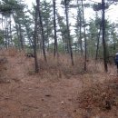 근흥중학교 이미지