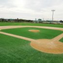 무안스포츠파크 야구장 이미지