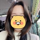 인헤어 | 안양 안양동 미용실 인앤스헤어 추천 커트 염색 펌 예약 후기
