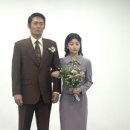 서안 티스토리