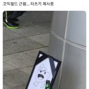 주술회전 모듈러 PV 이미지