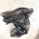 레인보우 소나타 이미지