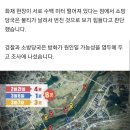 세종시 갈대밭 8곳서 연쇄 방화 추정 불…누가? 왜? 이미지