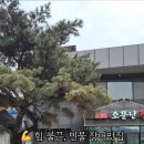 청송로-L 네이버블로그