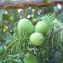 경상남도 수목원 이미지