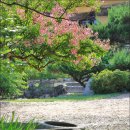 꽃의계절 이미지