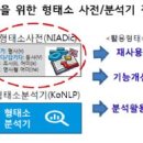 형태소 이미지