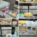 멍's텔라 | 멍s텔라(멍스텔라) 대구 강아지 수제간식 펫푸드 원데이 클래스 후기