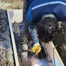 다사공원 이미지