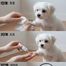 부평하나로약국 이미지