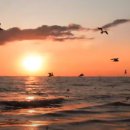 자유롭게저하늘에 이미지