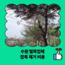 입북동 행정복지센터 회의실 _권선구 | 수원 벌목업체 잡목 제거 비용