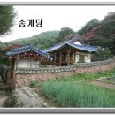 능성세가 이미지