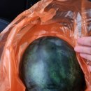 송학한의원 이미지