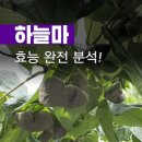 영천열매마농장 이미지