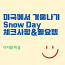 미국 겨울나기 체크 리스트&amp;스노우 데이 필요템
