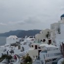 다인 행정사사무소 이미지