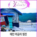 태안 마금리 염전 :: 짠 내음이 이색적인 염전