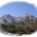 김해농협 서김해주유소 이미지