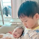 주호태권도 이미지