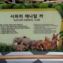 캥거루방방놀이터 이미지