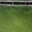 관광농원낚시터 이미지