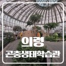 종이접기(청소년) | 의령 아이랑 함께 가기 좋은 곤충생태학습관 후기, 정보