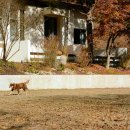 오월학교 이미지