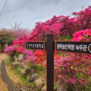 완산-124 이미지