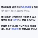 복주머니