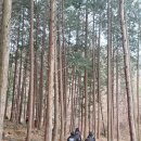 운문골마실길 이미지