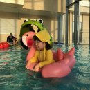 씨유 거제아주잘생긴점 | 거제 벨버디어, 한화리조트, 스위트 아쿠아