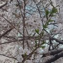 신행정사사무소 이미지