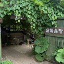 정선 파크로쉬 근처 맛집 추천｜평창 감자네 토종닭볶음탕 솔직후기