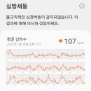 세동 | 부정맥 시술 3년 후기 심방세동과 조동을 넘어 안정기로 가기까지의 기록