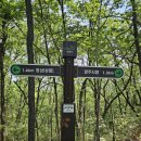 수색대골 이미지