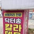 닥터송칼라덴트