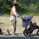 구룡천제방 이미지