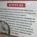 숫지다능이버섯백숙 | <학익> 숫지다 능이버섯 백숙 &amp; 삼계탕 : 능이버섯 오리백숙 맛집